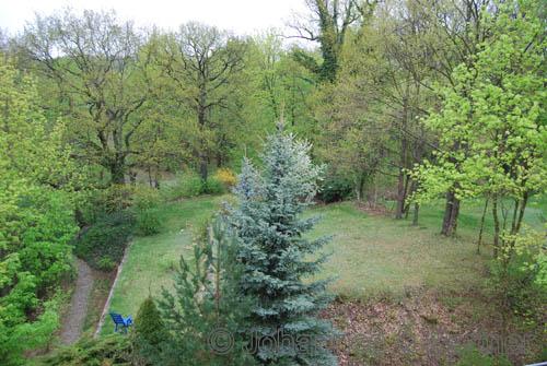 Blick aus der Wohnung in den Garten