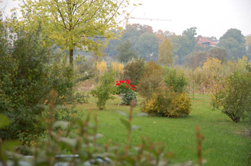 Gartenblick