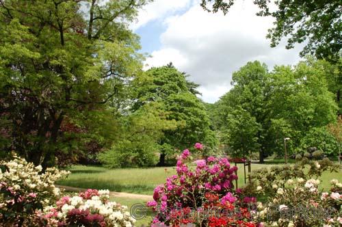 Lage des Hauses am Rhododendronpark