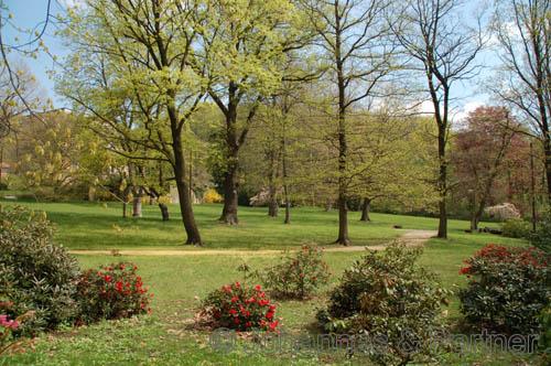 Lage des Hauses am Rhododendronpark