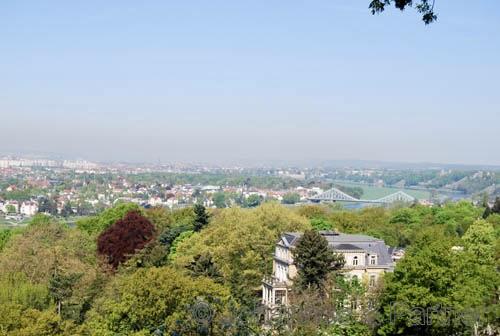 Blick aus dem benachbarten Weinberg über Dresden, 3-5 Fußminuten von der Wohnung