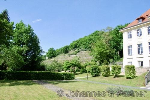 gepflegtes Grundstück direkt neben dem Weinberg