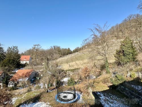 Blick (im Winter) aus der gesamten Wohnung Richtung Weinberg